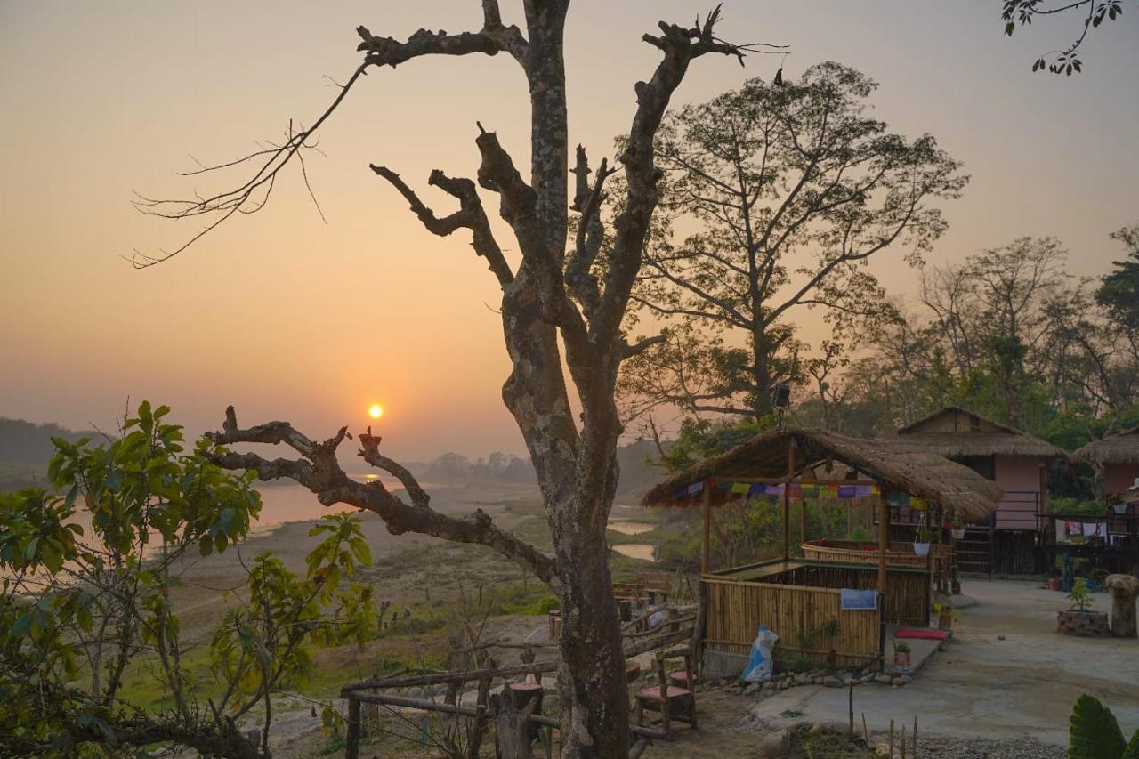 Bamby Chilling House - Feel The Nature Sauraha Eksteriør bilde