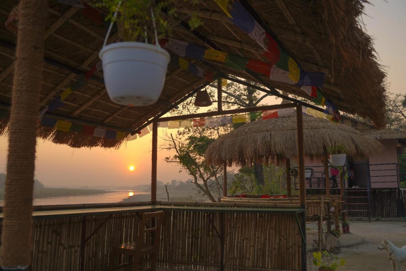 Bamby Chilling House - Feel The Nature Sauraha Eksteriør bilde