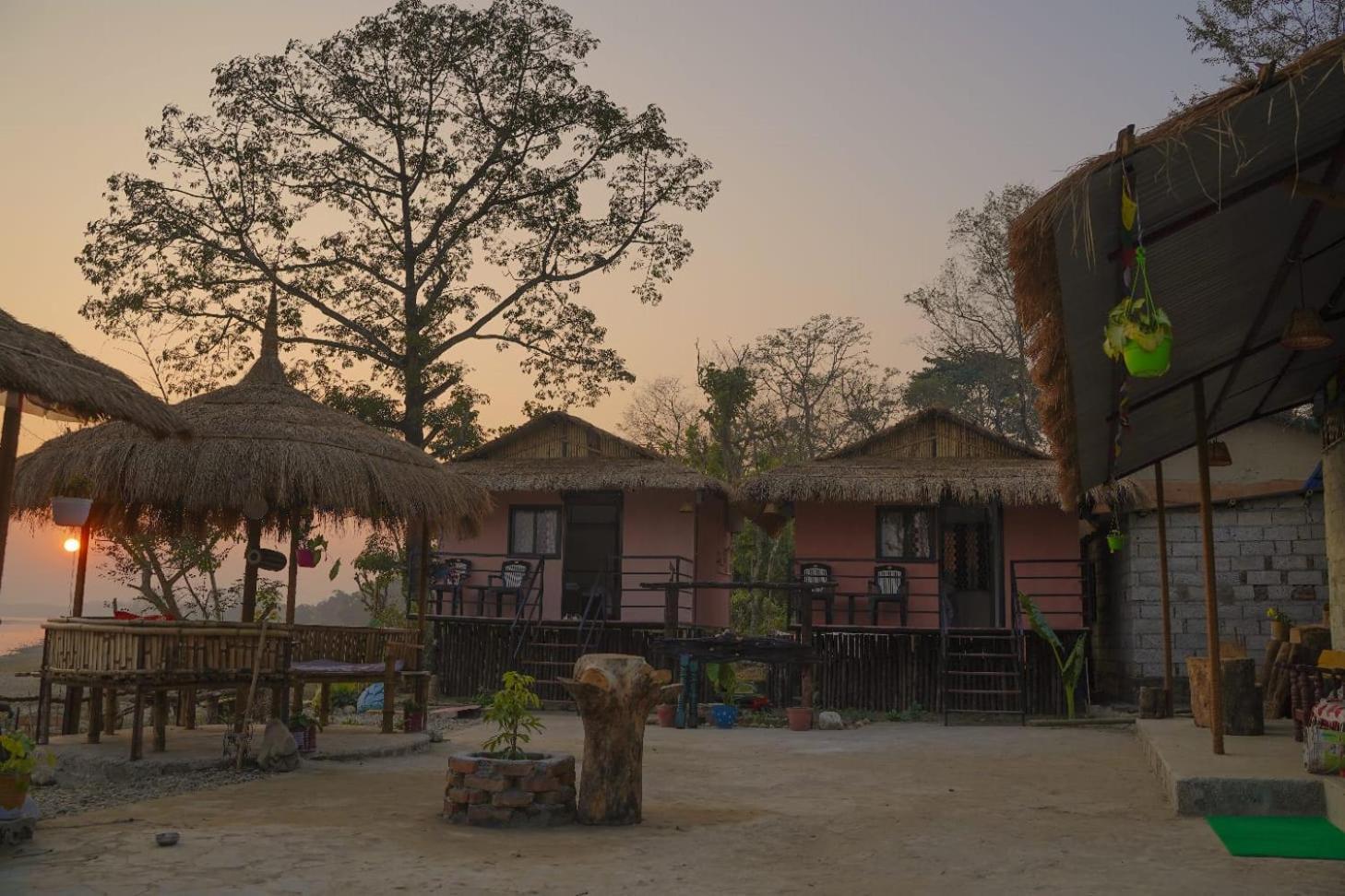 Bamby Chilling House - Feel The Nature Sauraha Eksteriør bilde