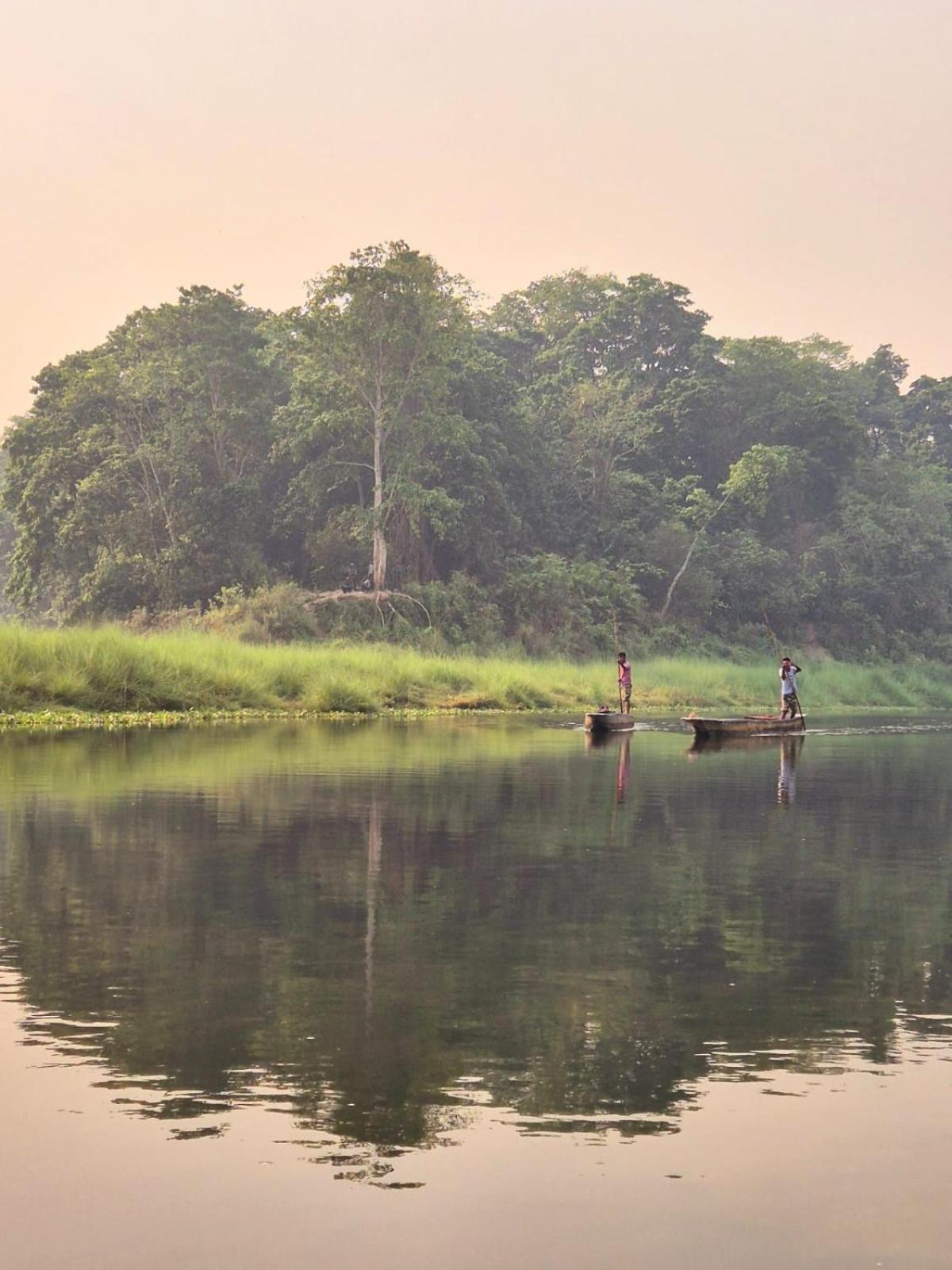 Bamby Chilling House - Feel The Nature Sauraha Eksteriør bilde