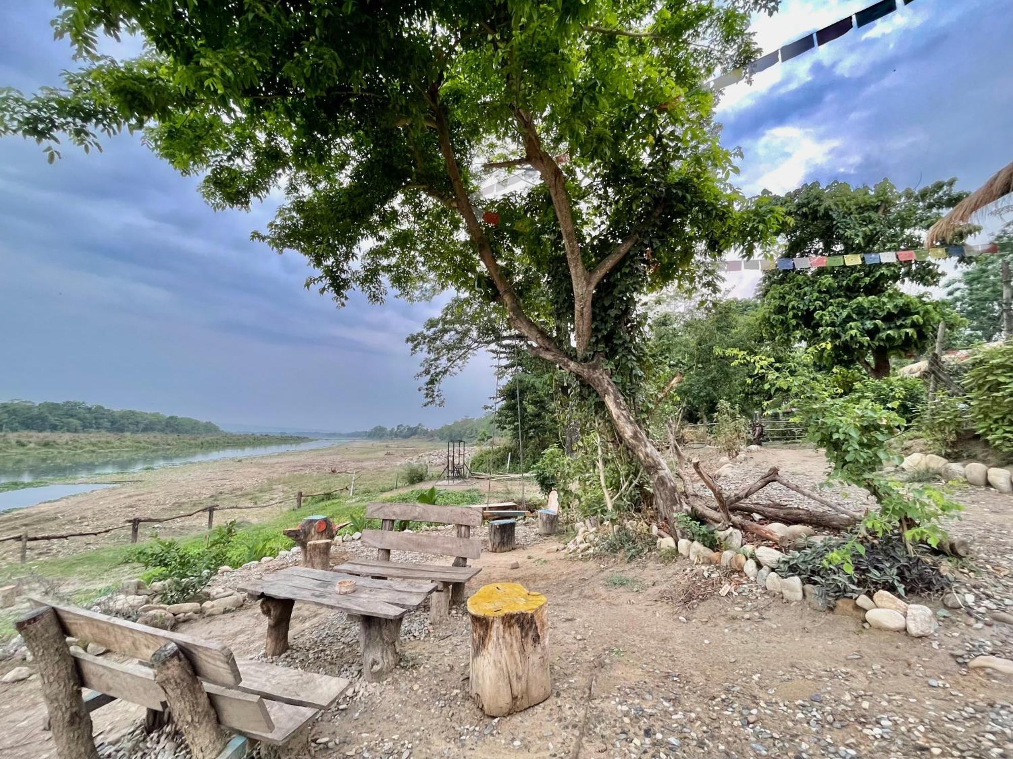 Bamby Chilling House - Feel The Nature Sauraha Eksteriør bilde