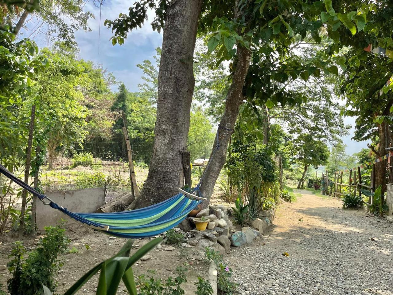 Bamby Chilling House - Feel The Nature Sauraha Eksteriør bilde