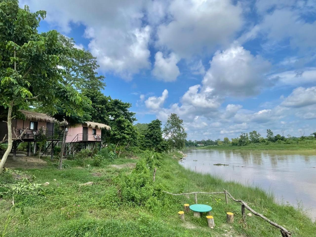 Bamby Chilling House - Feel The Nature Sauraha Eksteriør bilde