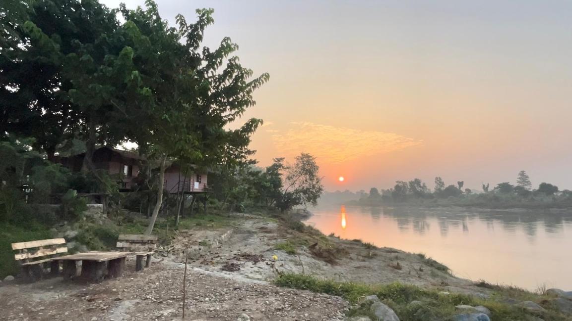 Bamby Chilling House - Feel The Nature Sauraha Eksteriør bilde