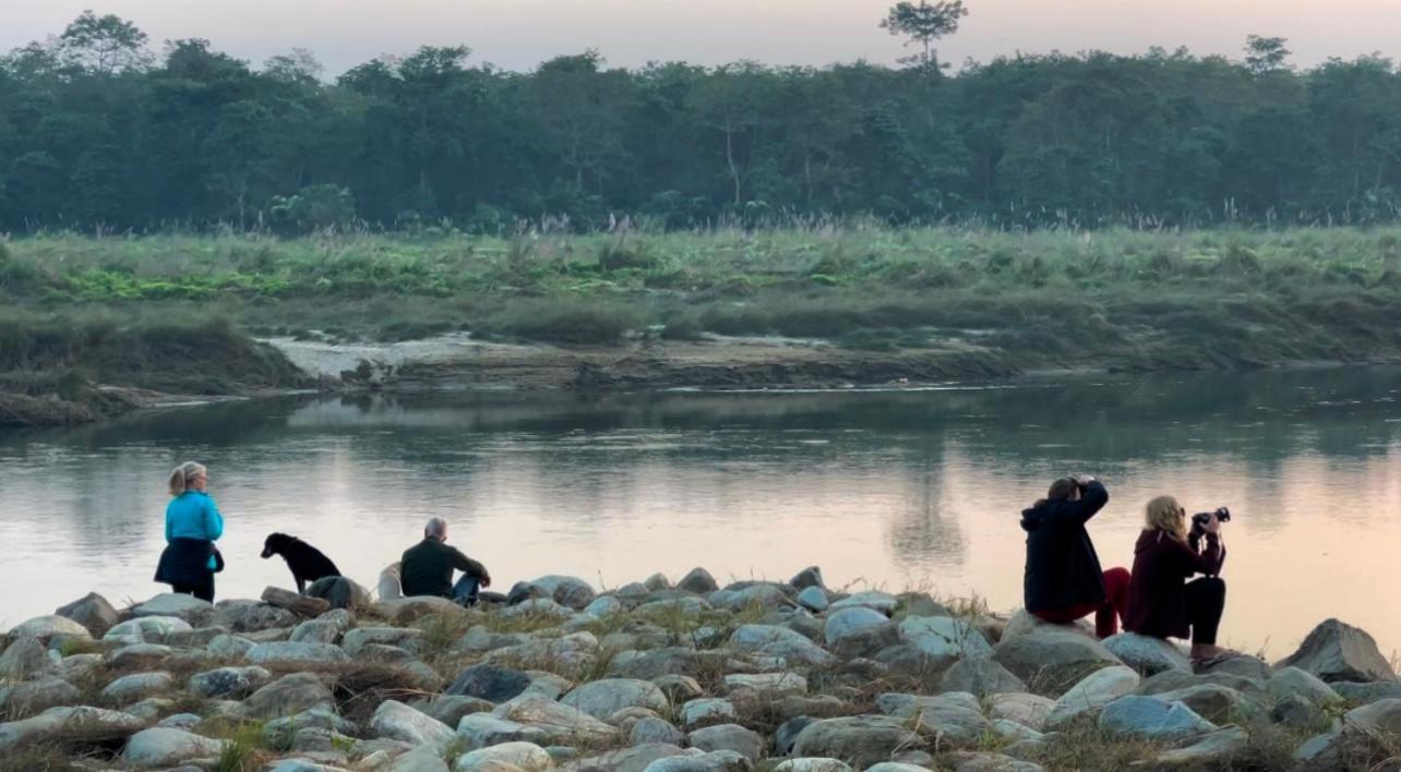 Bamby Chilling House - Feel The Nature Sauraha Eksteriør bilde