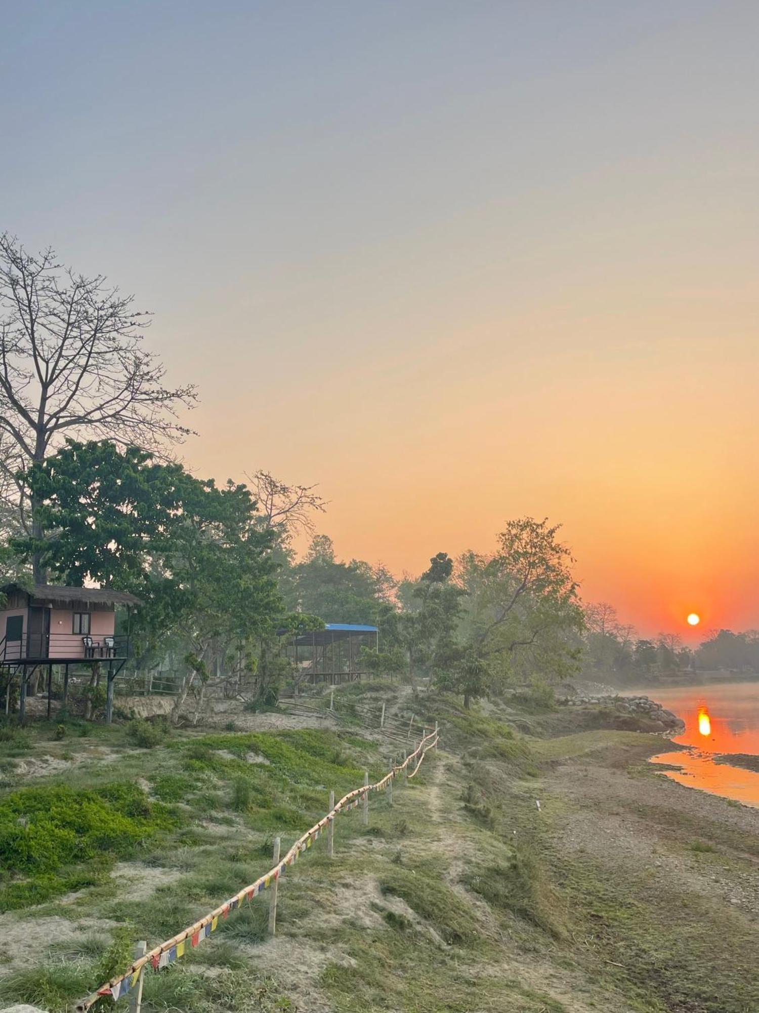 Bamby Chilling House - Feel The Nature Sauraha Eksteriør bilde