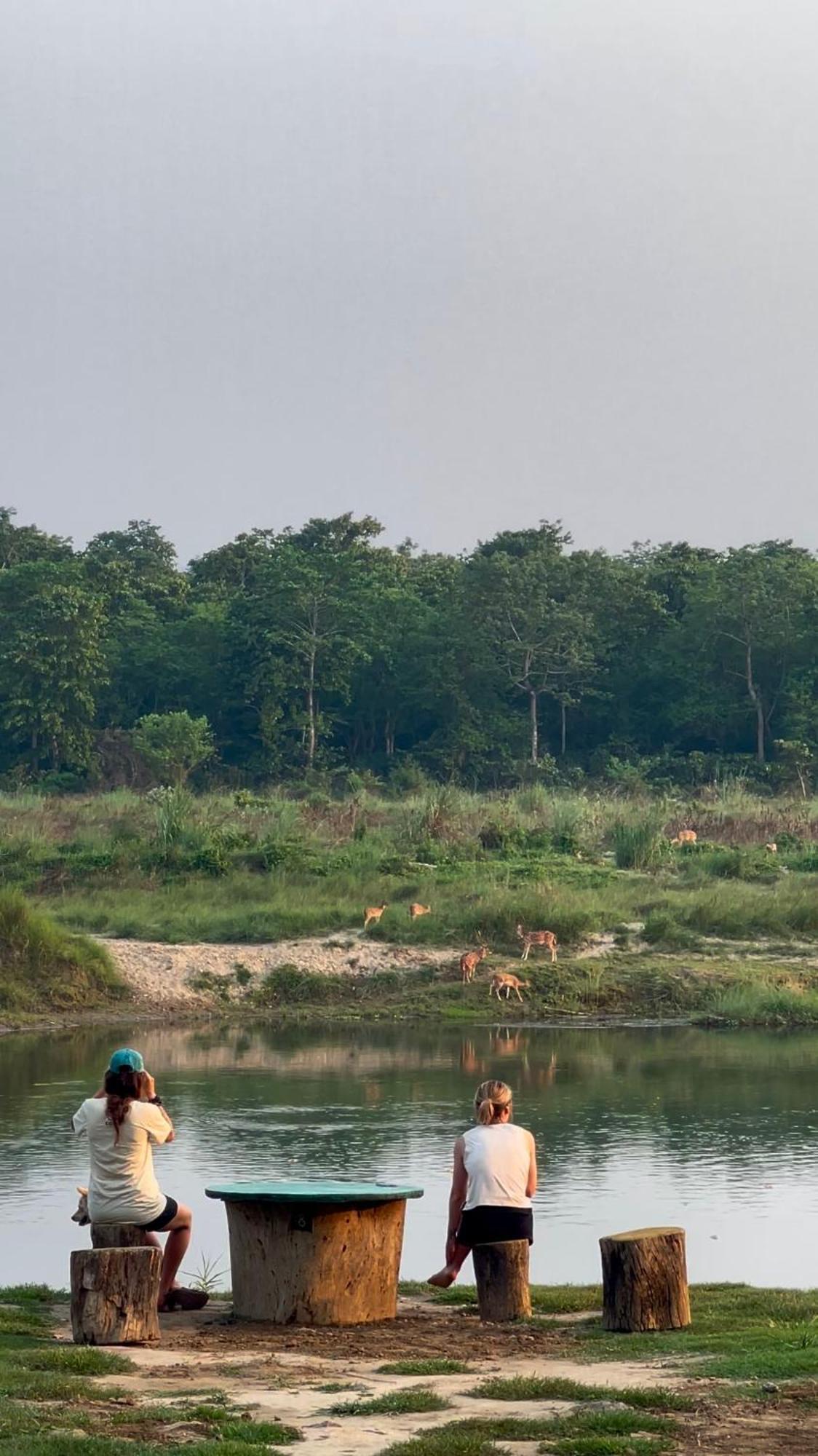 Bamby Chilling House - Feel The Nature Sauraha Eksteriør bilde